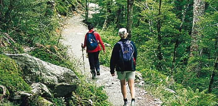 Dinner Hikes: Walking to a Meal